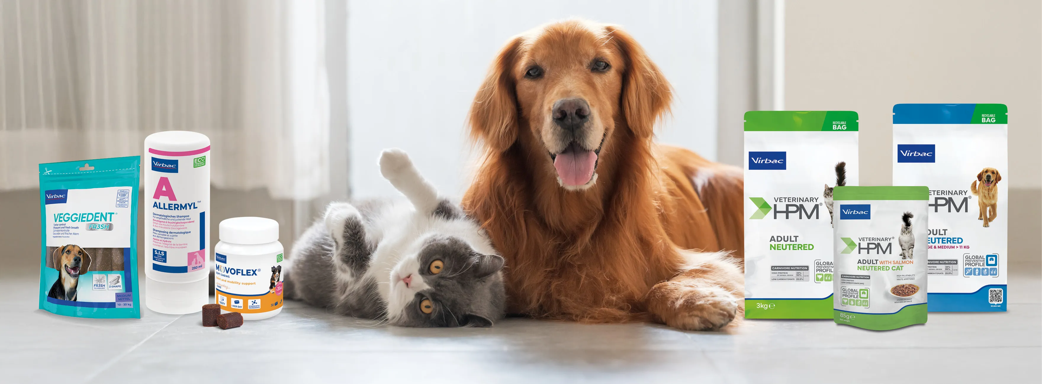 Dog jumps into the water