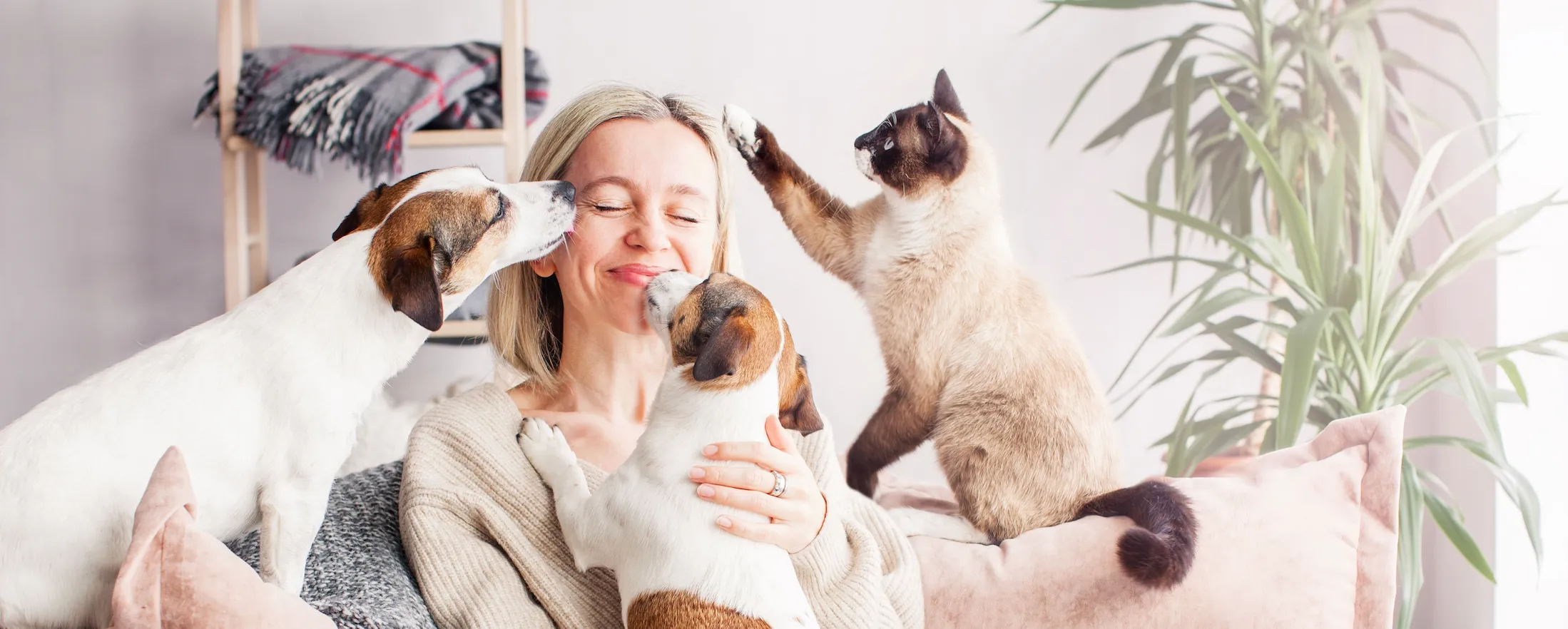 Dog jumps into the water