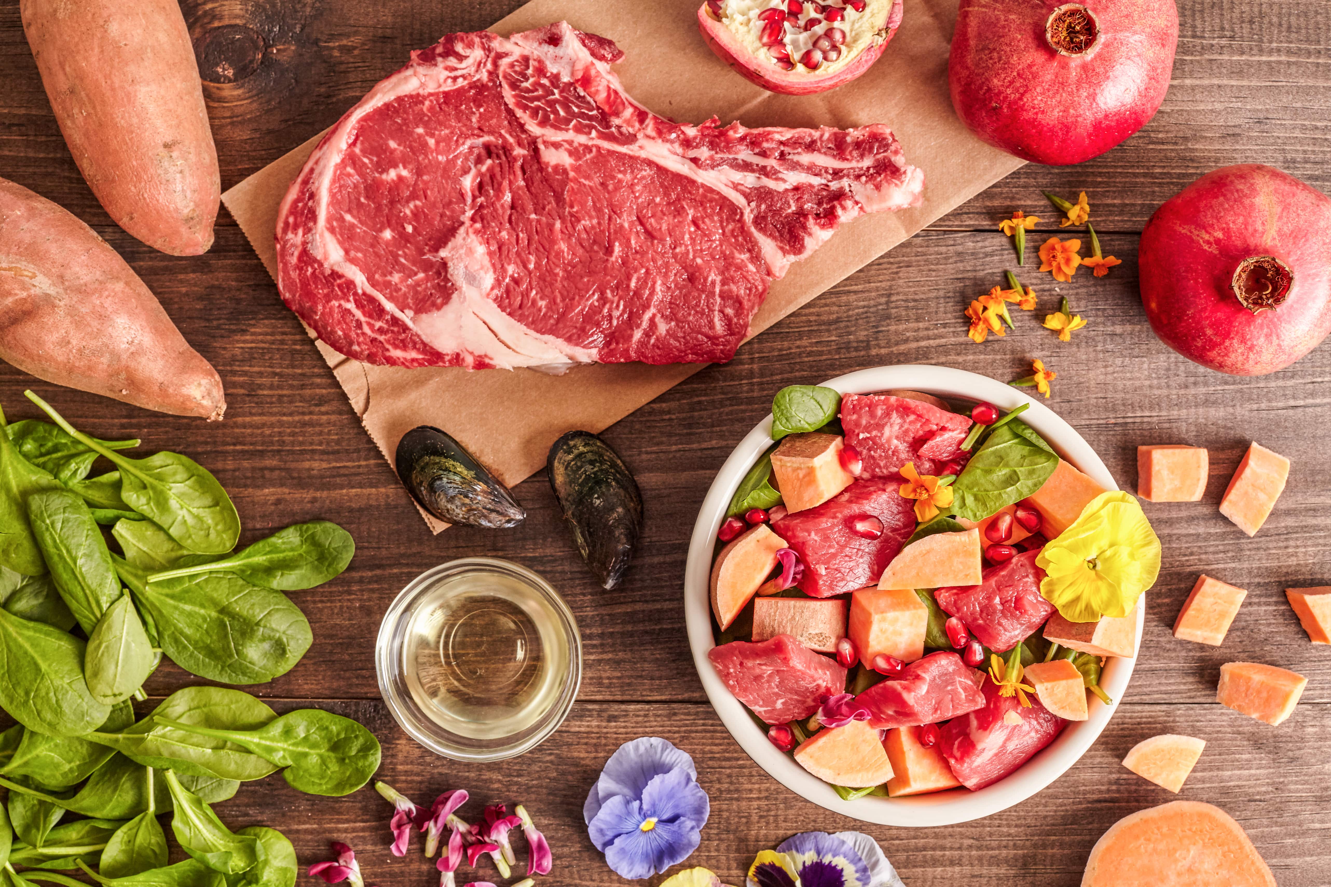 Dog jumps into the water