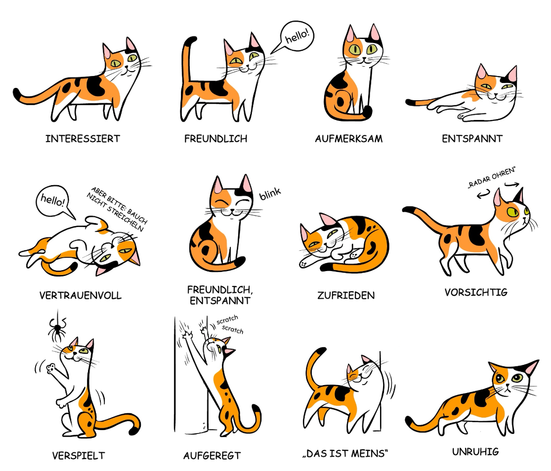Various illustrations of cats to explain cat language. For example: interested, friendly, attentive, and so on