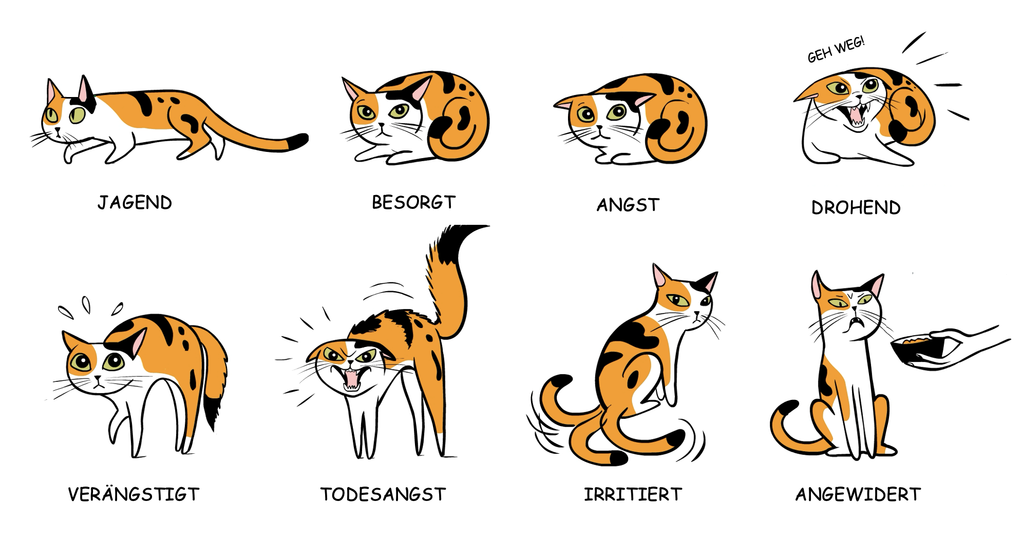 Various illustrations of cats to explain cat body language. For example: hunting, worried, threatening, and so on