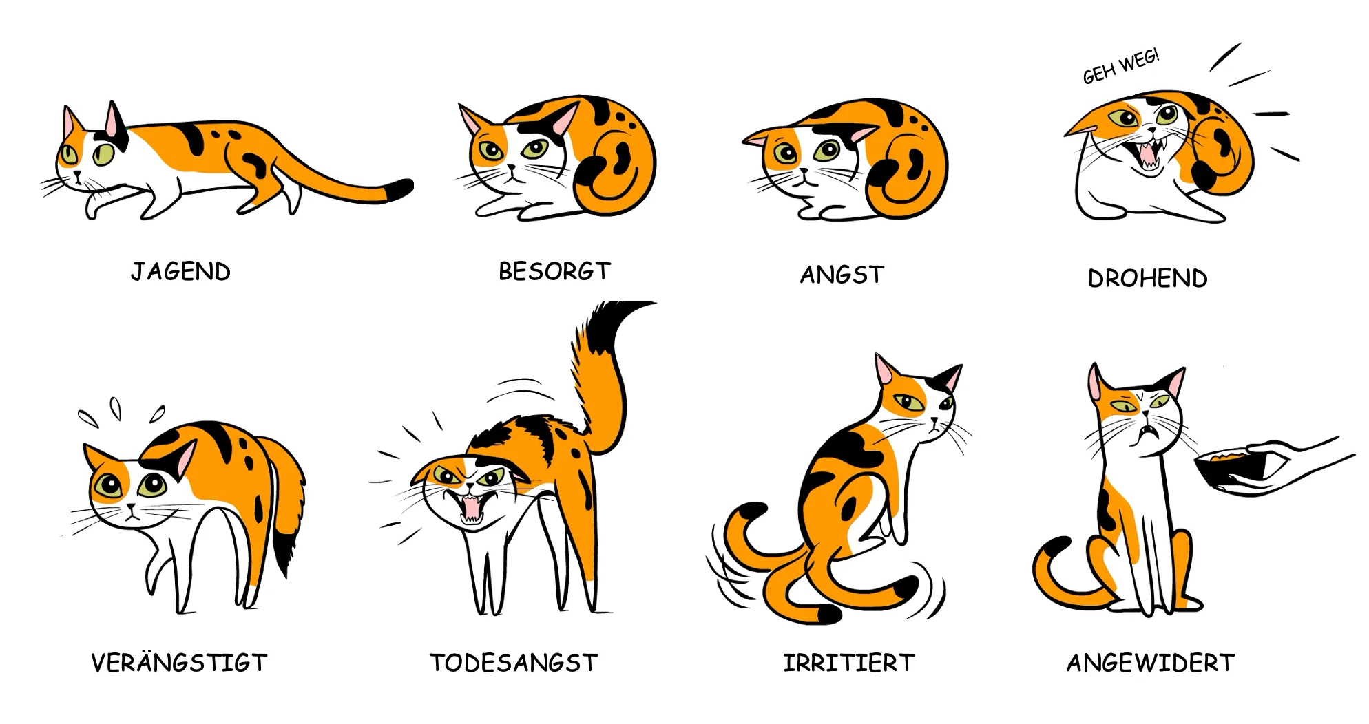 Diverses illustrations de chats pour expliquer le langage félin. Par exemple : en train de chasser, inquiet, menaçant, etc.