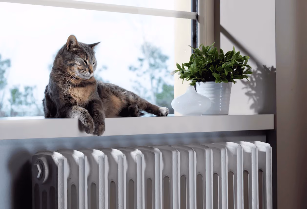 Un chat est allongé sur le radiateur