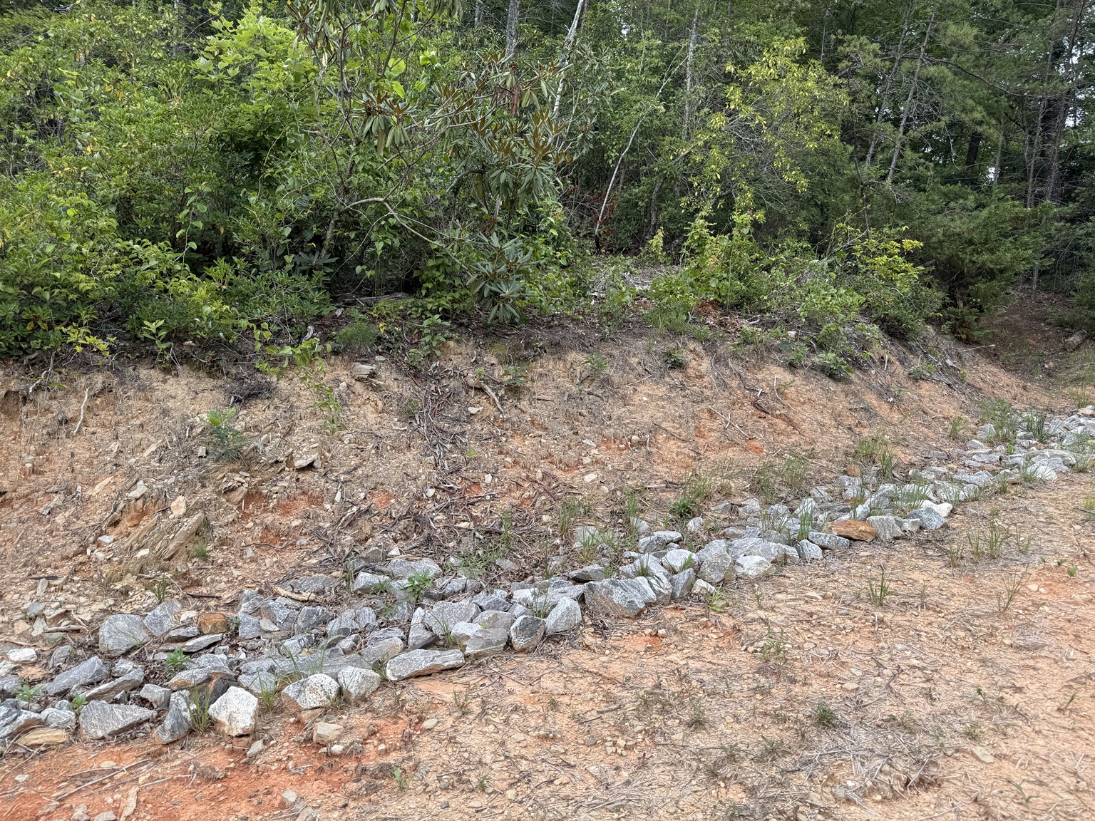 Before view of the runoff path and failing ditch