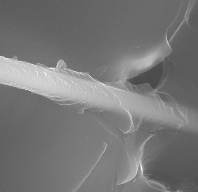 Close-up of numerous thin, overlapping white strands or fibers against a dark background.
