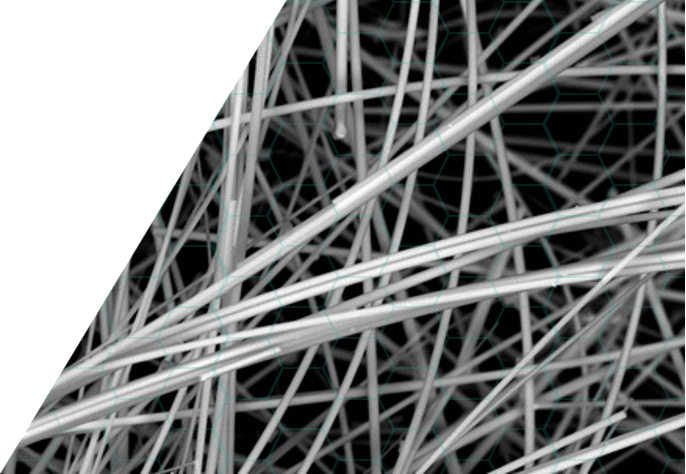Close-up of a fibrous network with overlapping strands under magnification.