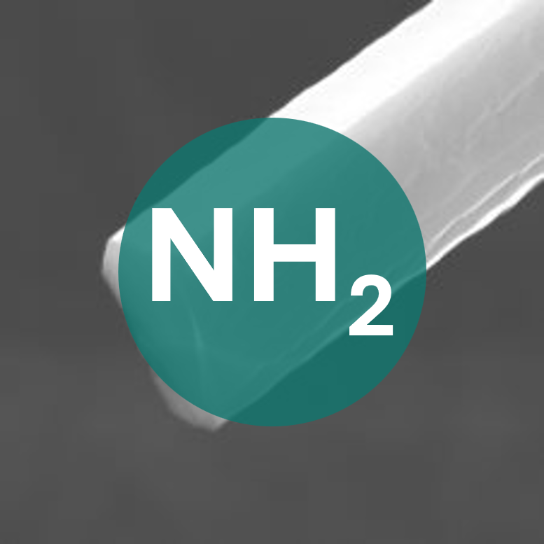 Close-up of a white rod with a teal circle labeled NH2 signifying an amine group.