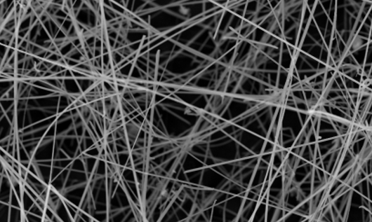 Close-up of tangled, thin, fibrous strands forming a dense network in grayscale.