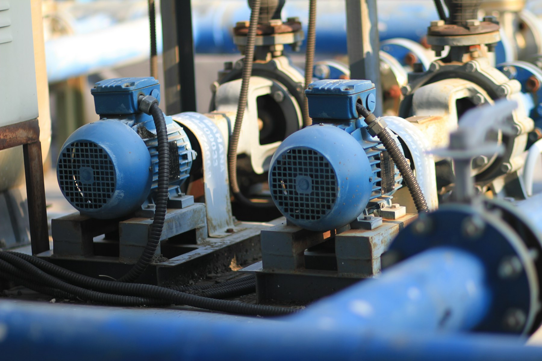 Centrifugal pumps and motors in a process plant
