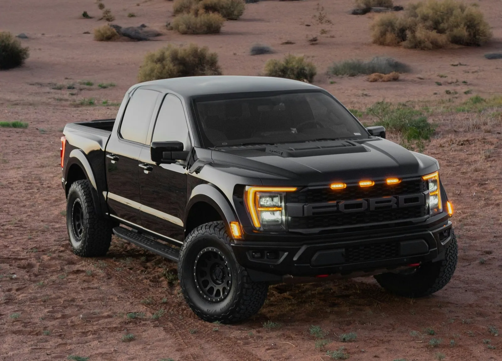 Schwarzer Ford F-150 Raptor