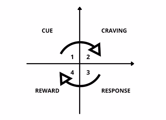 The Four Steps to Building Effective Habits