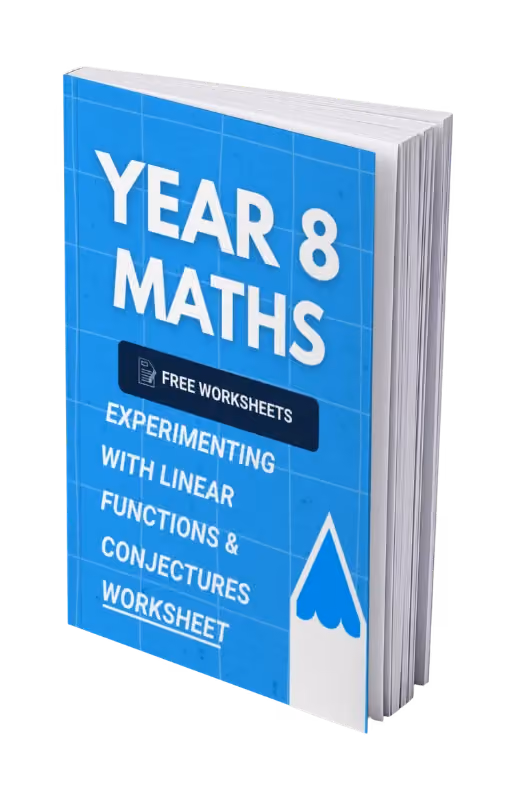 Year 8 Maths - Experimenting with Linear Functions & Conjectures Worksheet