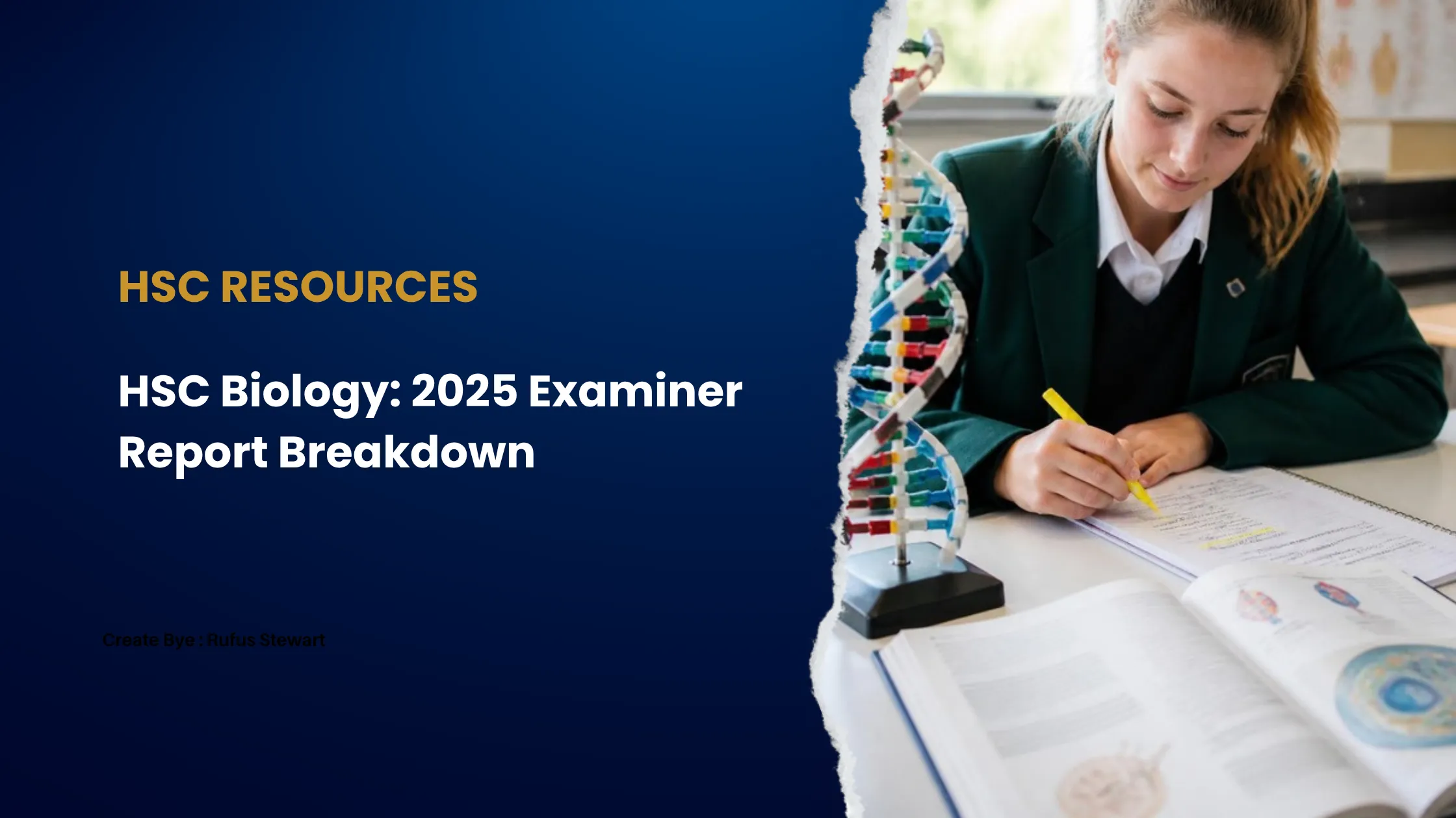 How to Improve Your HSC Biology Score: 2025 Examiner Report Breakdown blog cover