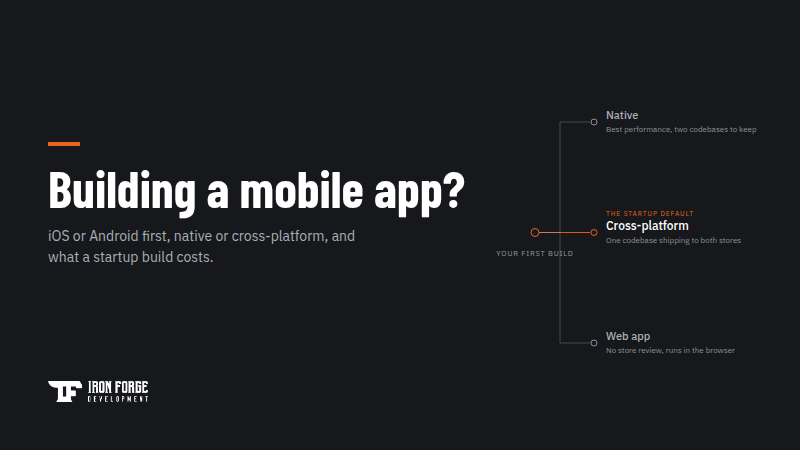 Thumbnail reading 'Building a mobile app?' with a decision-fork diagram of Native, Cross-platform, and Web app options
