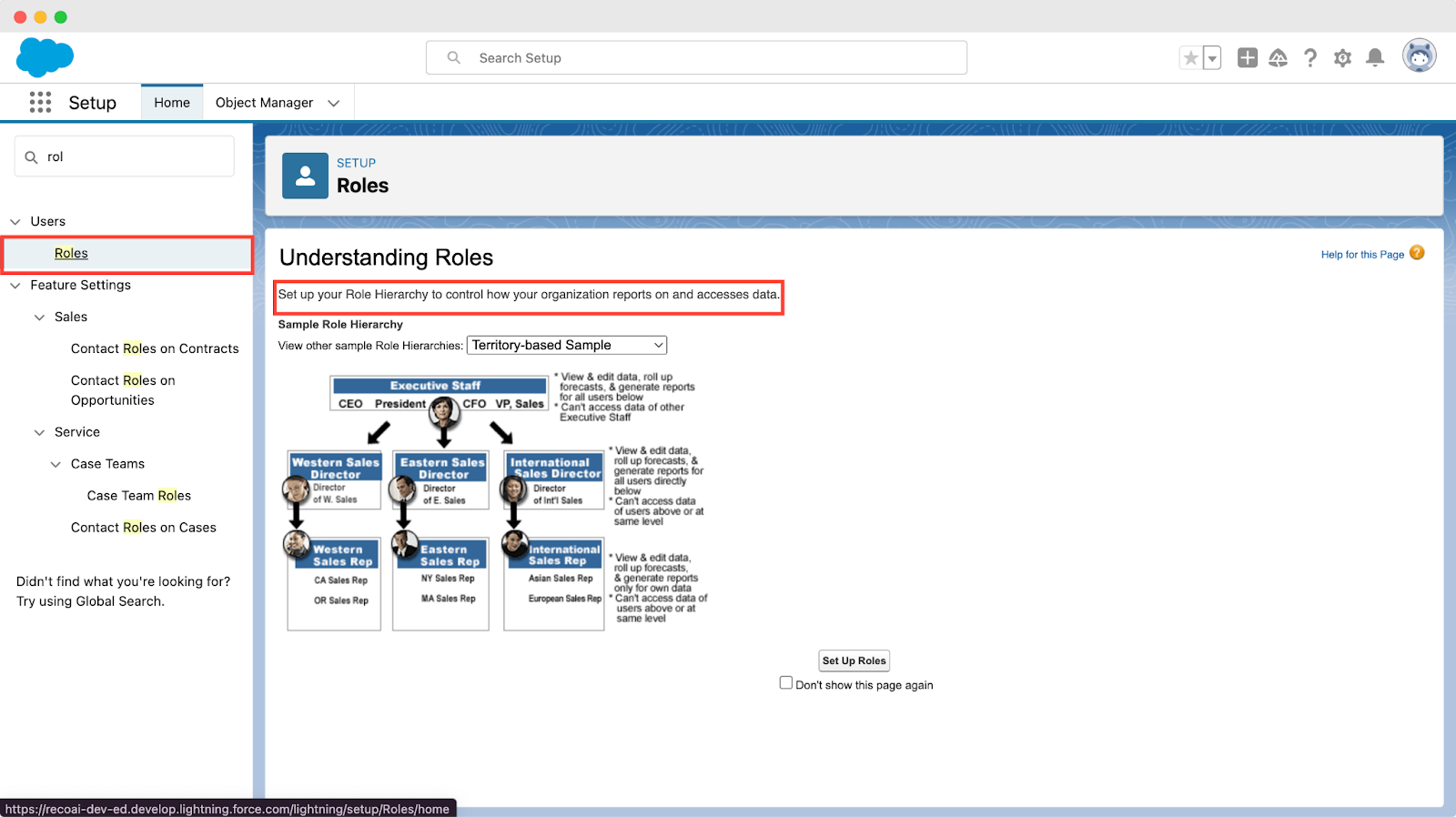 How to set up a Role Hierarchy in your Salesforce Org