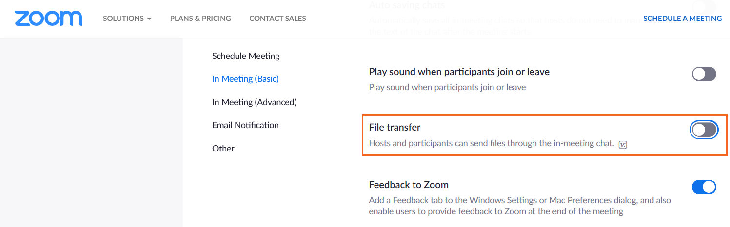 File transfer option turned off in Zoom call settings.