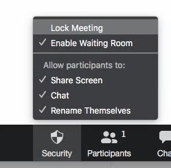 In-meeting Zoom security controls with Lock Meeting option.