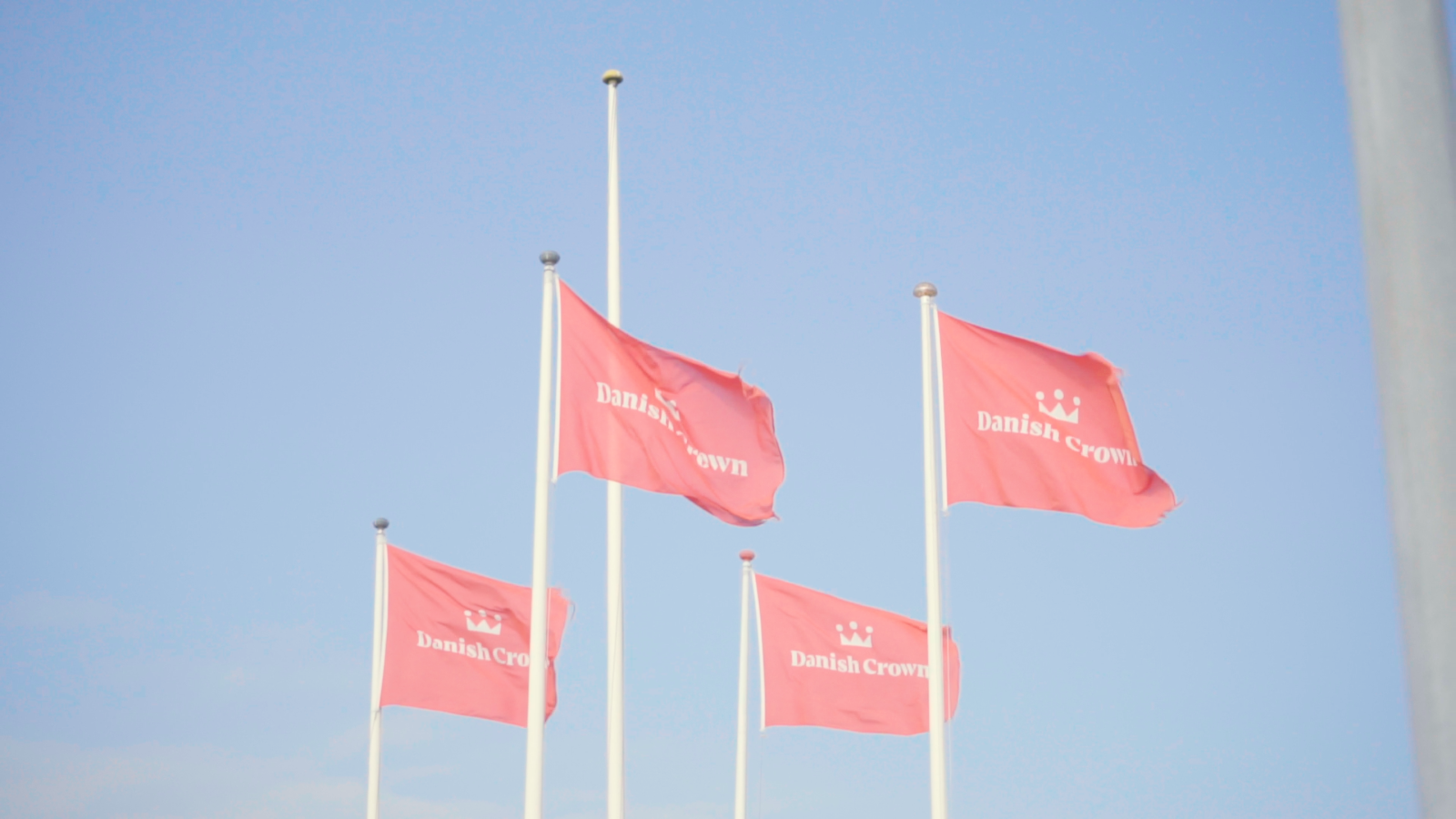 Danish Crown flags