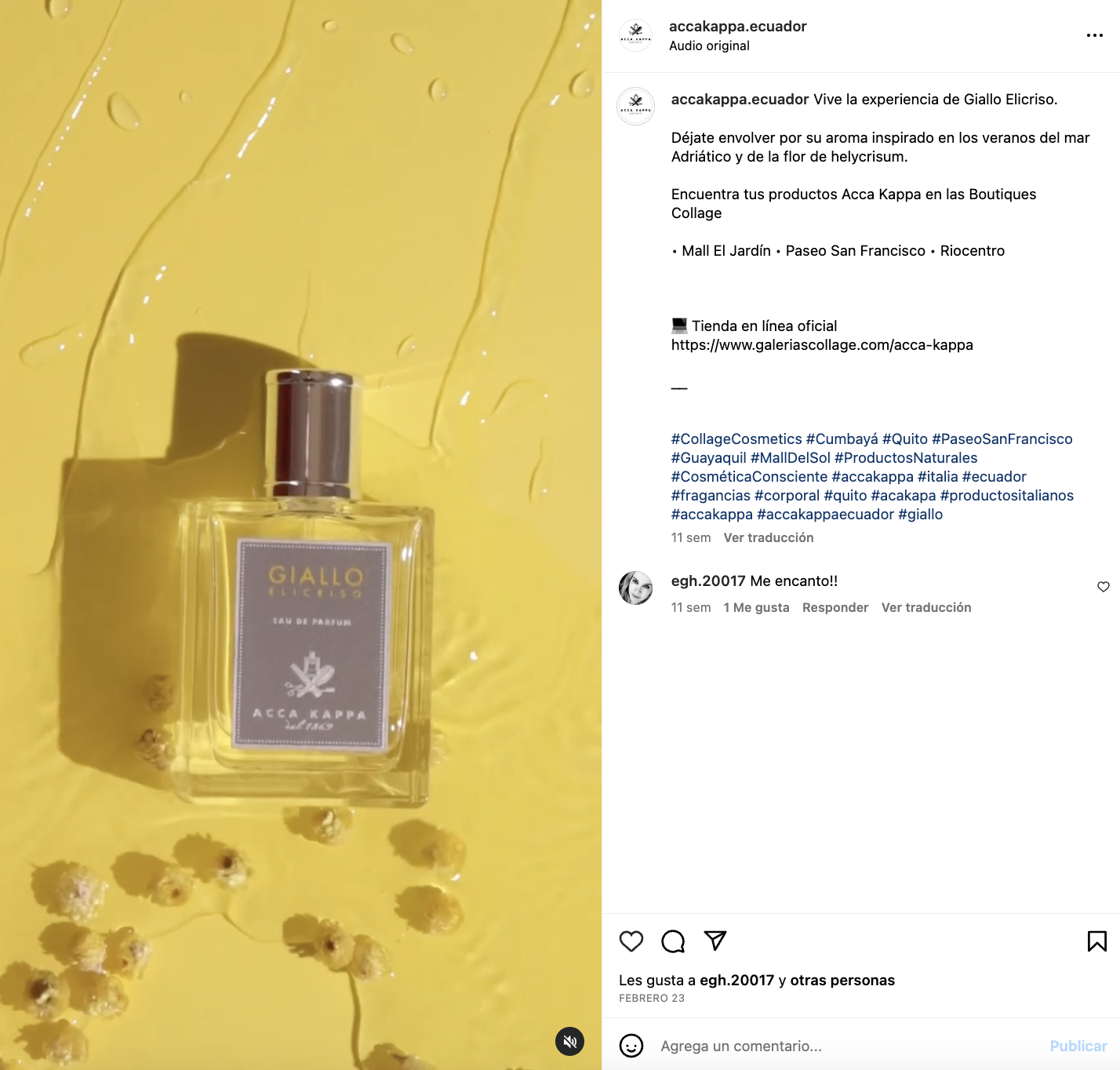 3d library case study in webflow