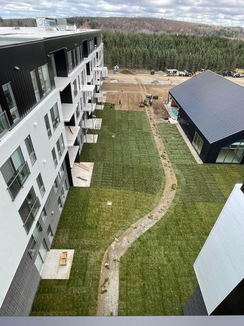 Vue aérienne de la toiture végétale du complexe