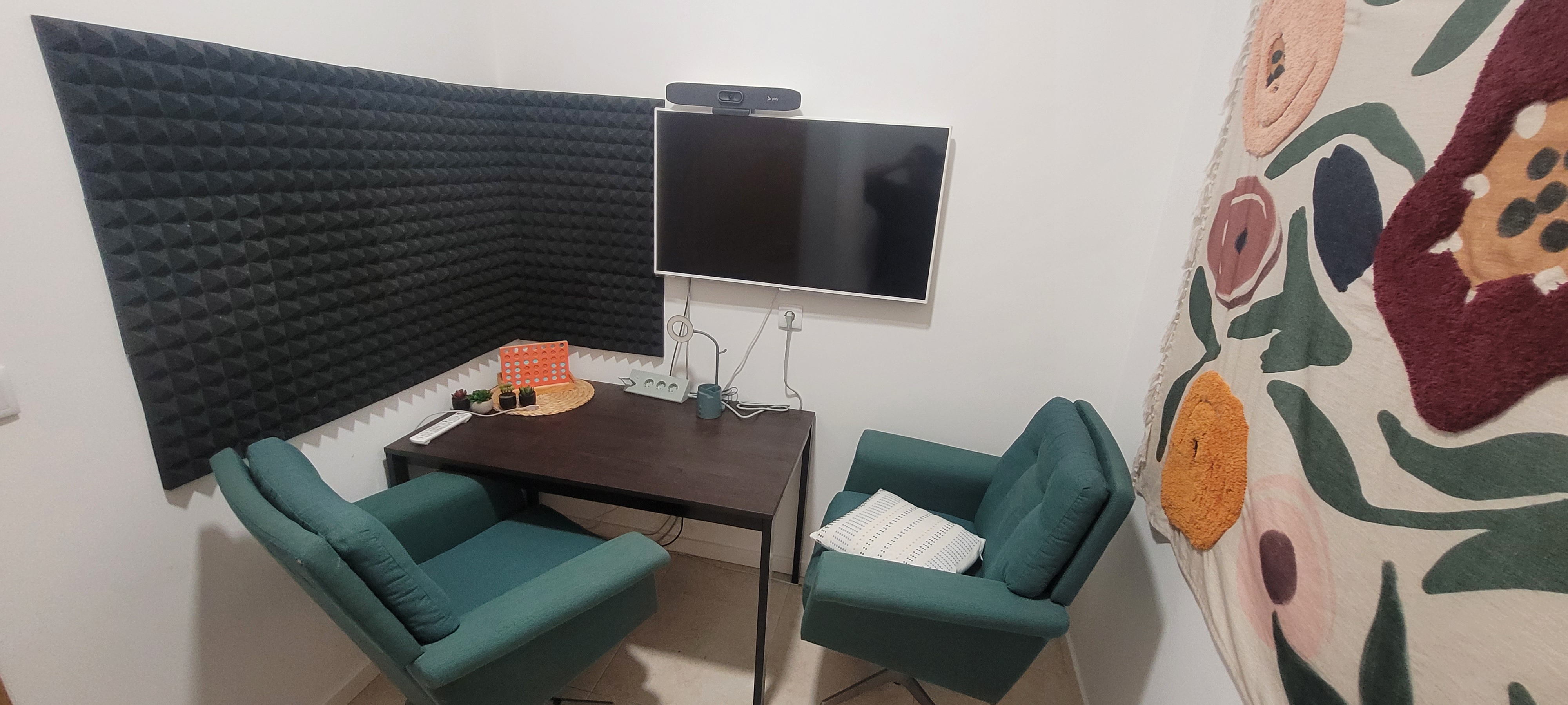 Meeting Room showing TV Camera Sound proofing on wall and floral decoration
