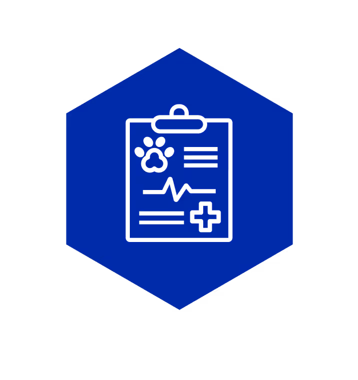 Services - Diagnostic Imaging