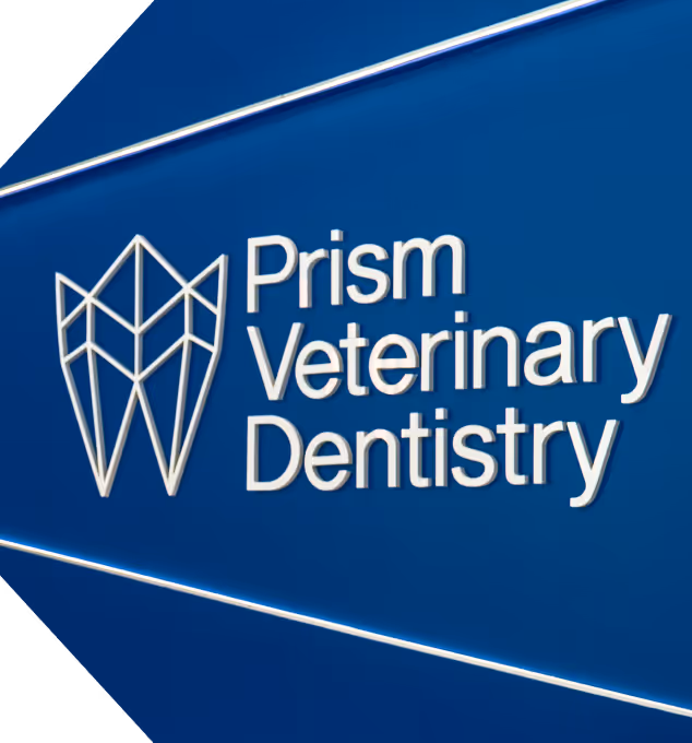 Contact-Us - Prism Veterinary Dentistry