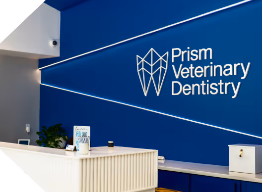 Contact Us - Prism Veterinary Dentistry