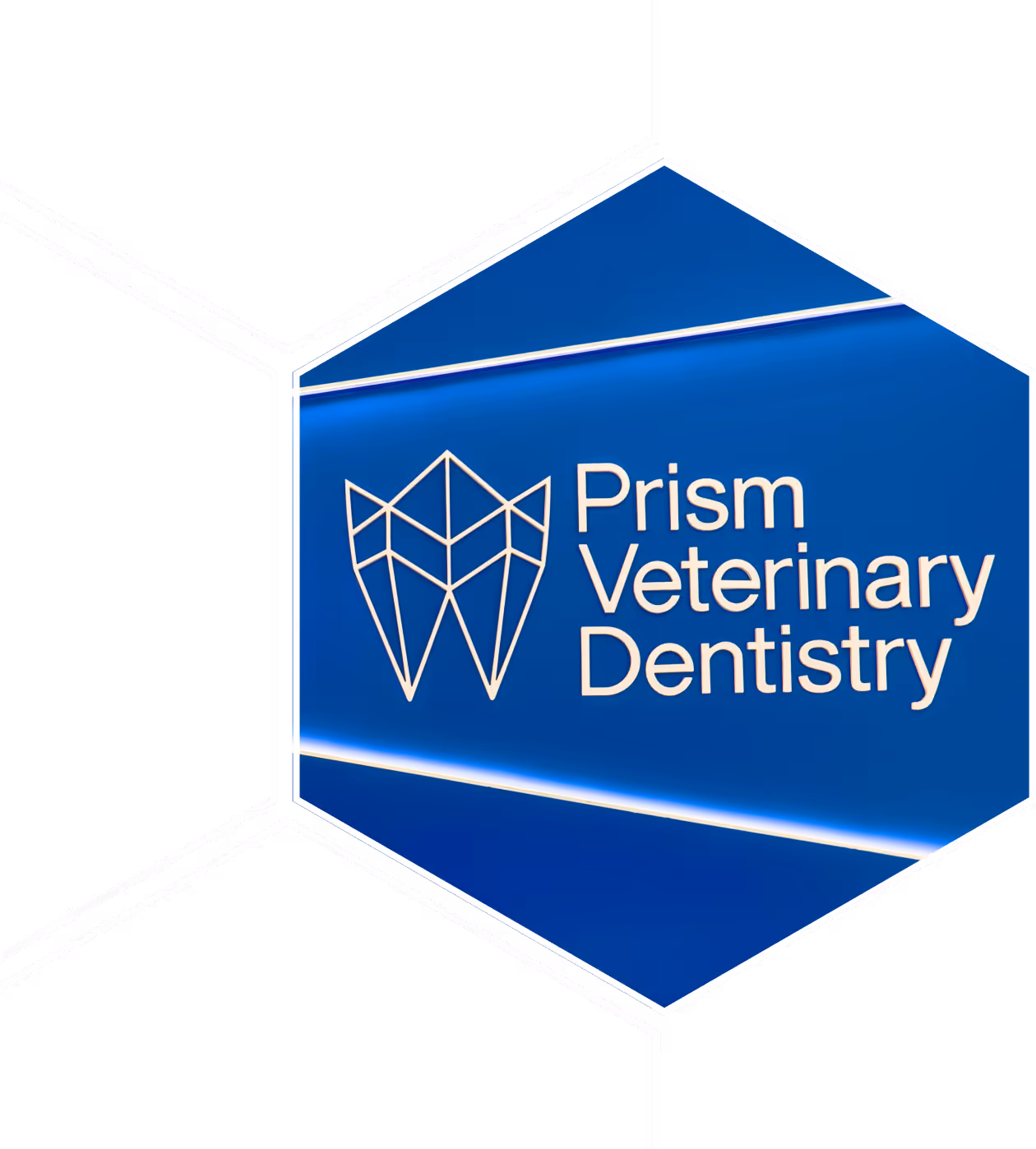 partnership and collaboration - Prism Veterinary Dentistry