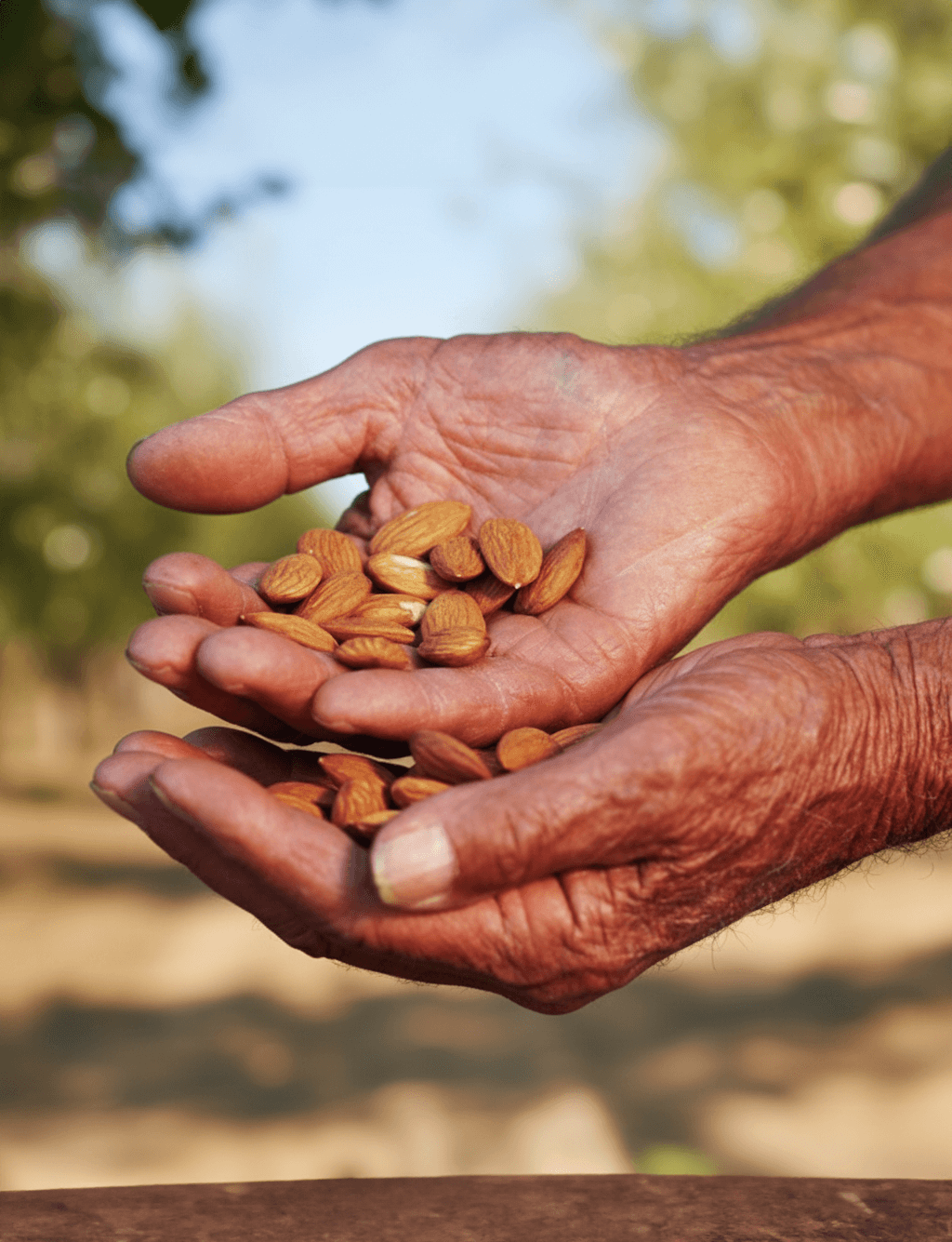 Farmers and Consutants shake hands with Verdi to become irrigation referral partners