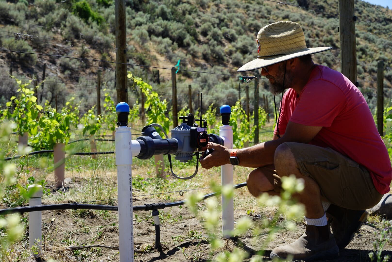 Verdis' smart valve delivers precision irrigation, verification, and reporting in an all-in-one solution