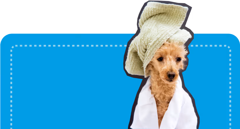 A minimalist graphic of a Poodle with a towel on her head, promoting the atFrits Dog Parlour & Spa in Cape Town where every dog receives a high standard of grooming and relaxation.