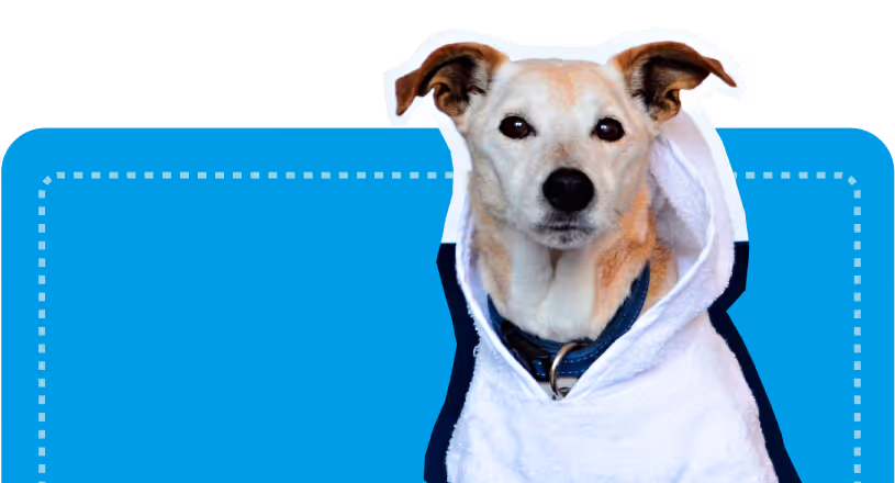 A minimalist Jack Russell Terrier graphic on a light blue background, representing the energetic and attentive standard of care for all active breeds at atFrits Dog Hotel Cape Town.