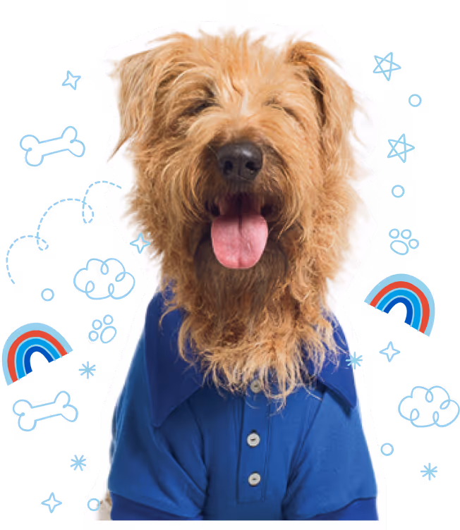 Illustrated branding asset of Frits, the inspiration behind atFrits Dog Hotel Cape Town, representing our commitment to the highest standard of dog care.