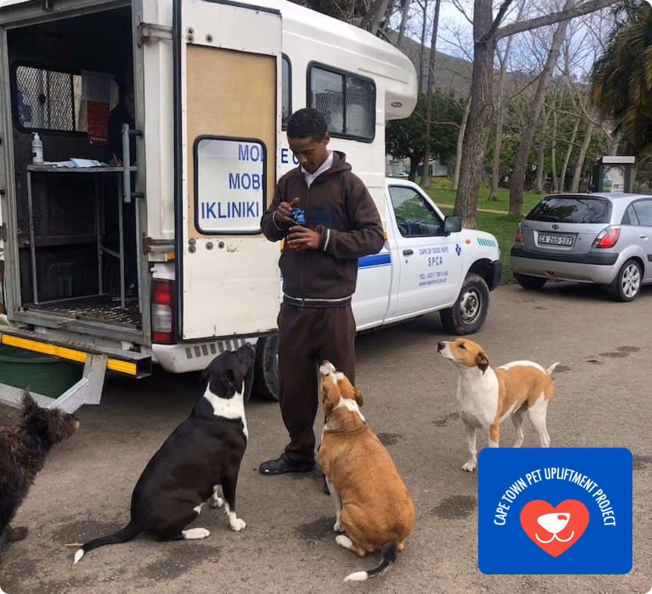 A community dog receiving care through the Cape Town Pet Upliftment Project (CTPUP) by atFrits, demonstrating our commitment to providing a high standard of care for all dogs in the community.