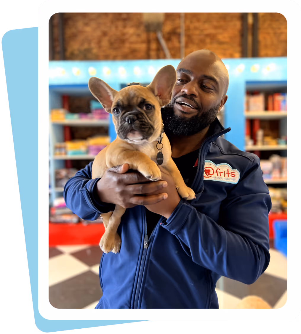 A professional dog handler at atFrits Dog Hotel caring for a French Bulldog, demonstrating our hands-on approach and high standard of care for every guest in Cape Town.