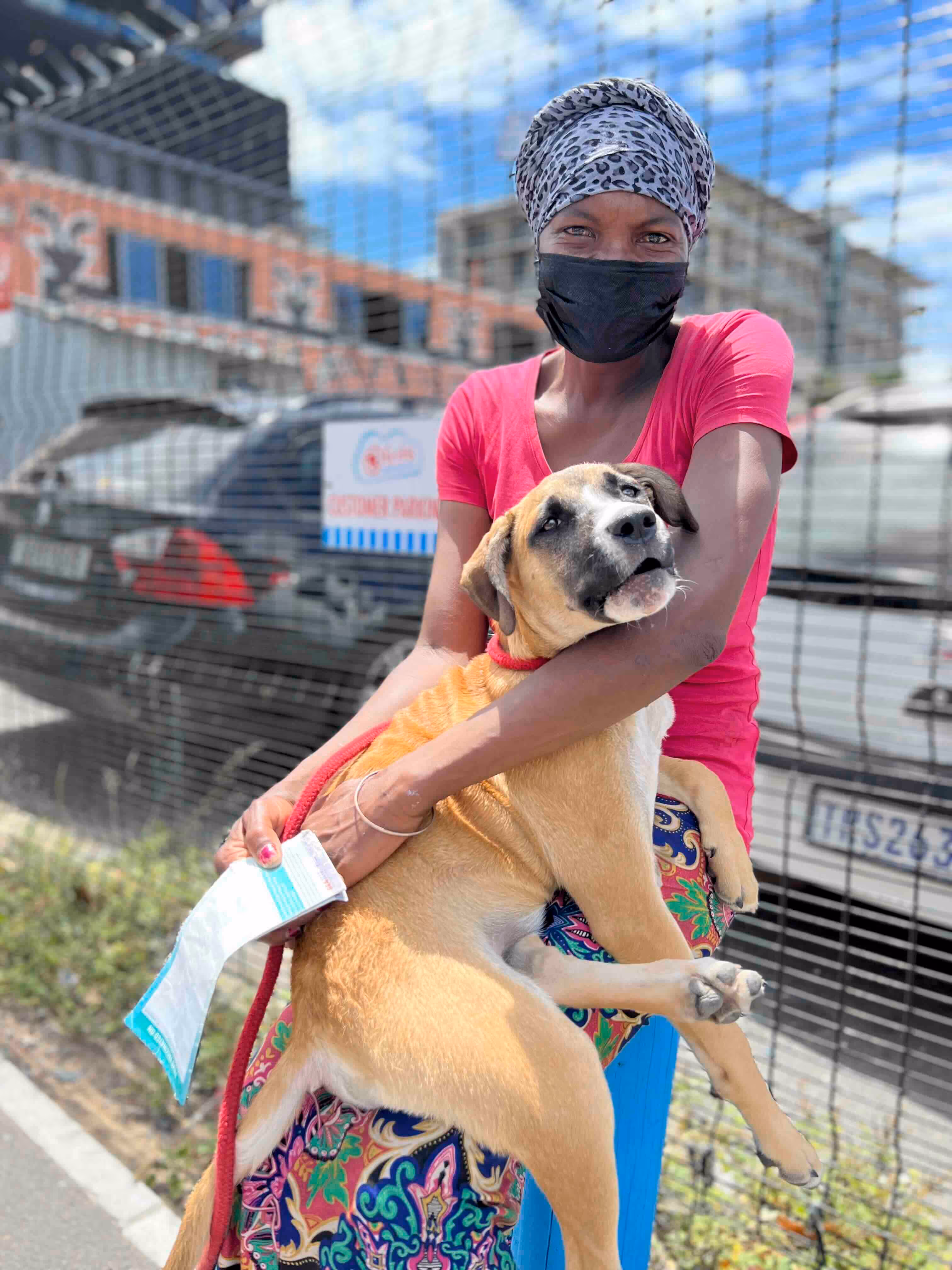 Discover how the Cape Town Pet Upliftment Project (CTPUP) by atFrits provides essential care, food, and medical support to community dogs in underprivileged areas.