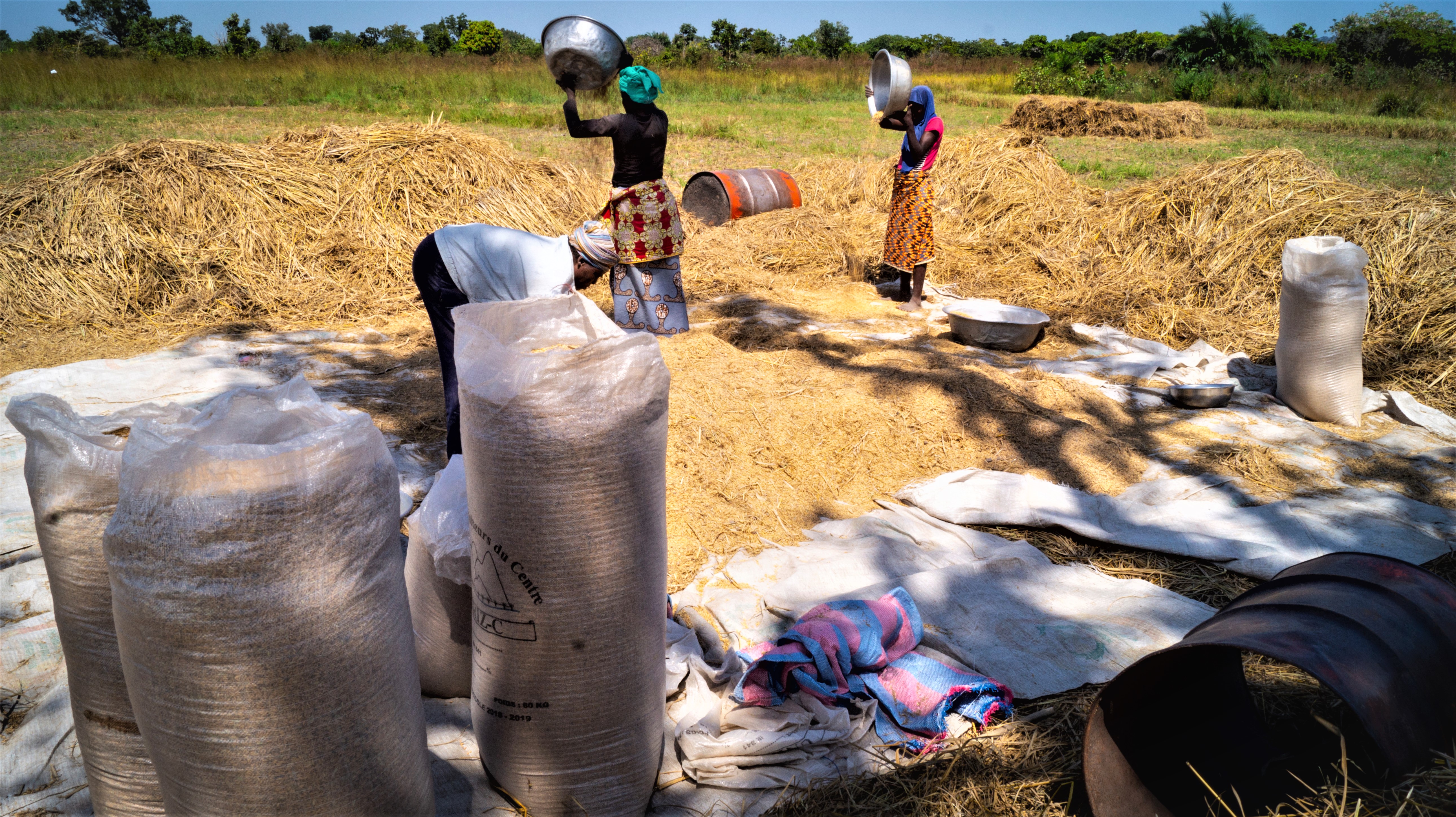 Women complying with SRP requirements