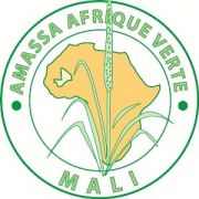 AMASSA - Afrique Verte