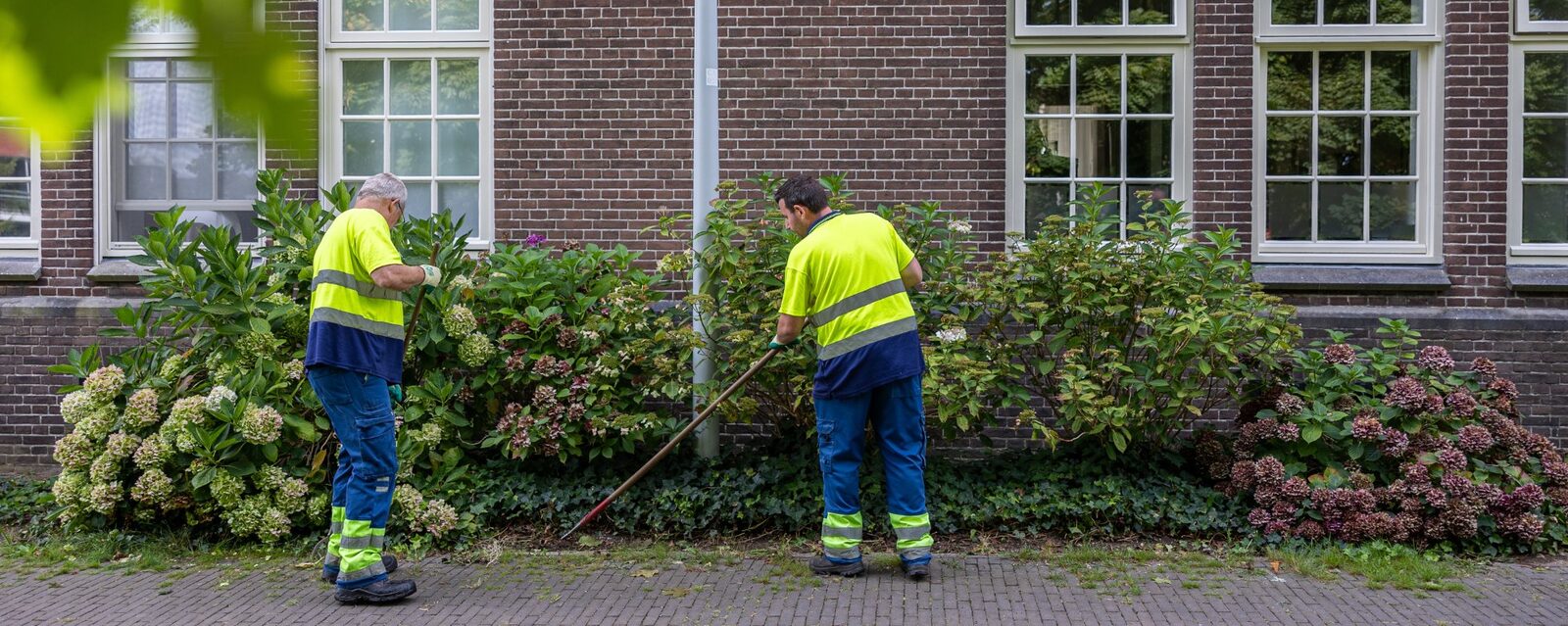 Vacature bij Dar Nijmegen