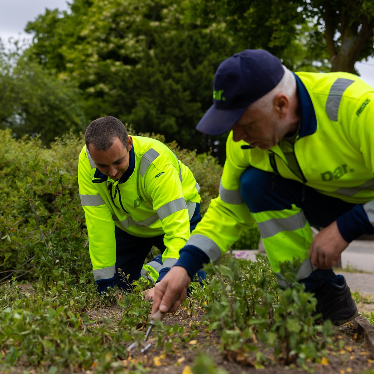Dar medewerkers aan het werk in het groen in Nijmegen