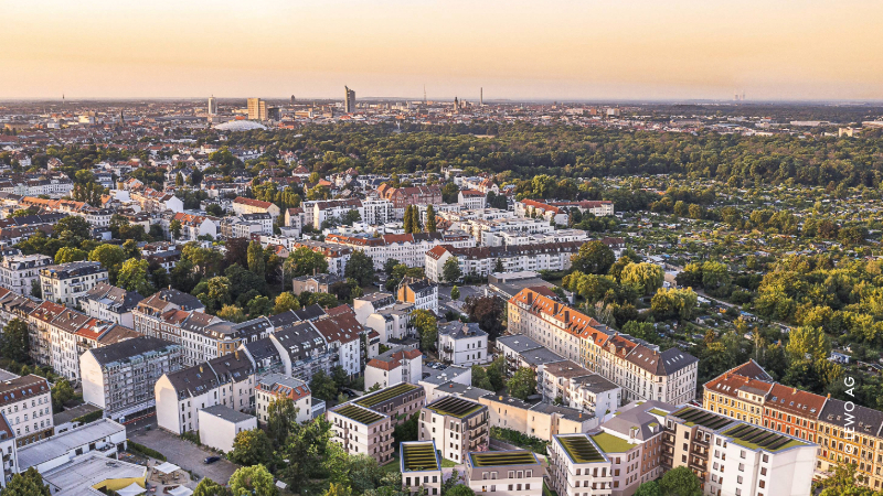 La Vida Sakura_02.jpeg