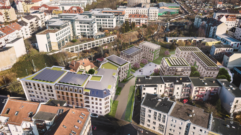 La Vida Sakura_01.jpeg