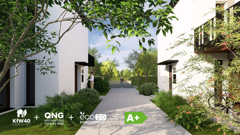 PURA VIDA_Visu_4.jpeg