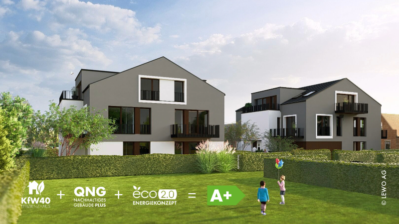 PURA VIDA_Visu_5.jpeg