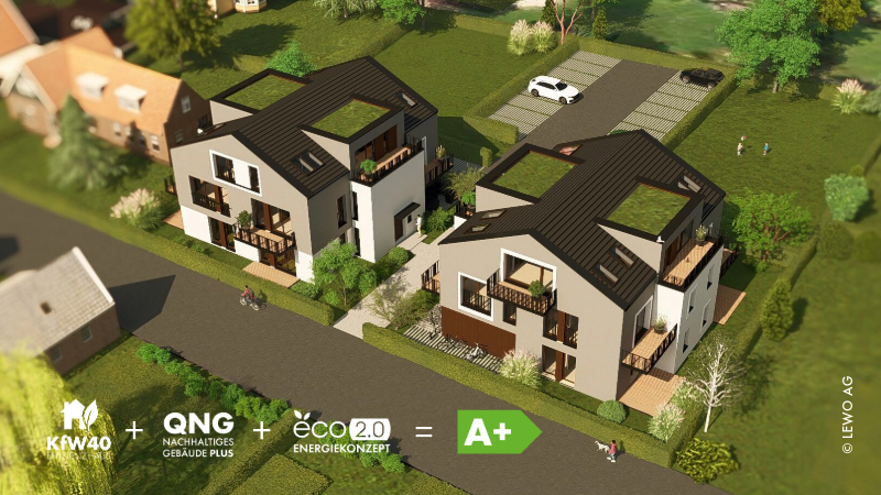 PURA VIDA_Visu_6.jpeg