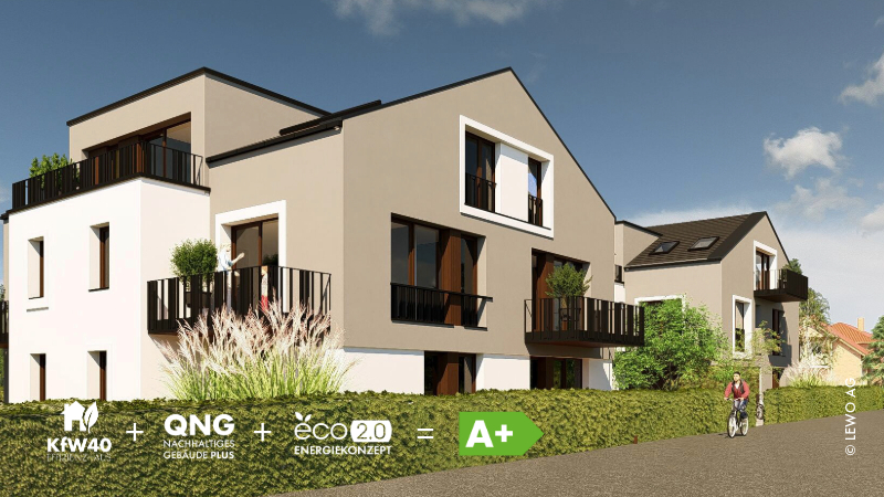 PURA VIDA_Visu_2.jpeg