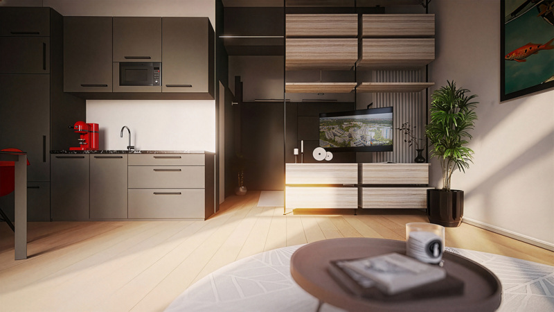 Visu Wohnungstyp Studio.jpg