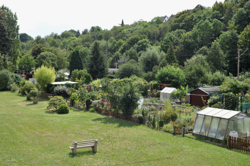 DOM_Dresden_Winkelwiesen_Gartenanlage_roh_bearb.jpg