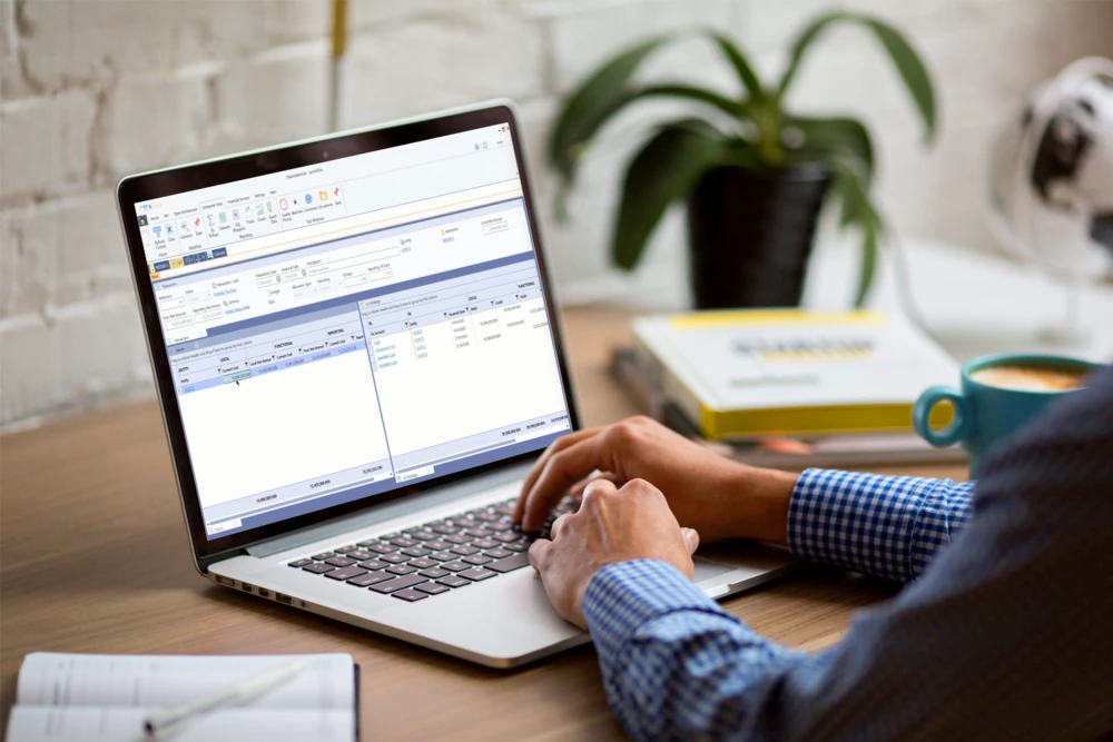 Man with laptop accounting software